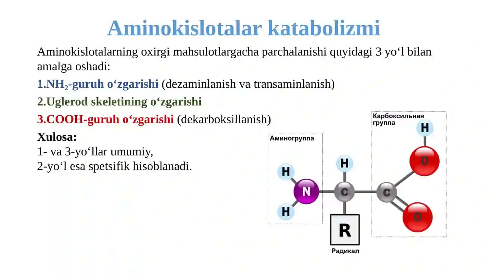 Aminokislotalar katabolizmi va dezaminlanish jarayonlari: biokimyoviy mexanizmlar va klinik ahamiyati 2