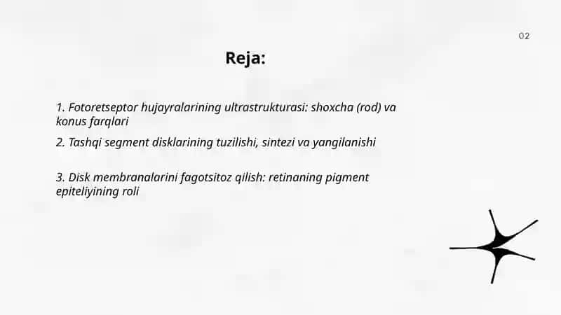 Fotoretseptor hujayralarining ultrastrukturasi va gistofiziologiyasi 2