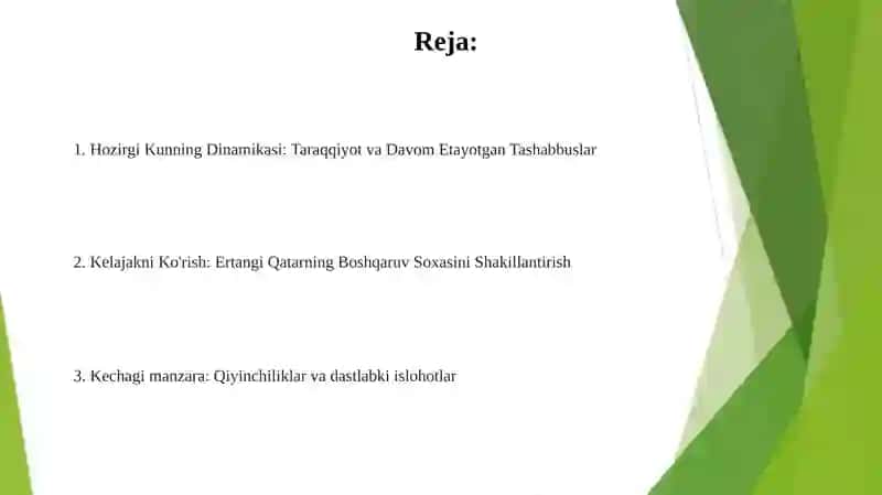 Qatar davlatning menejmenti sohasidagi islohotlar 2