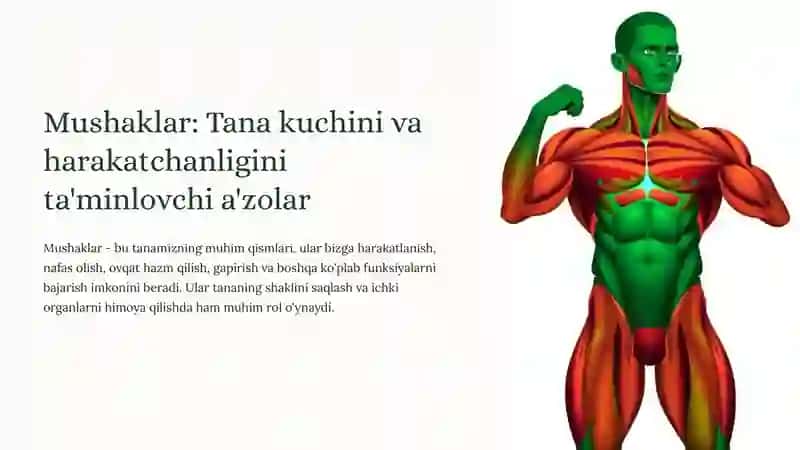 Abu Ali Ibn Sino nomidagi jamoatsalomatligi texnikumi 2