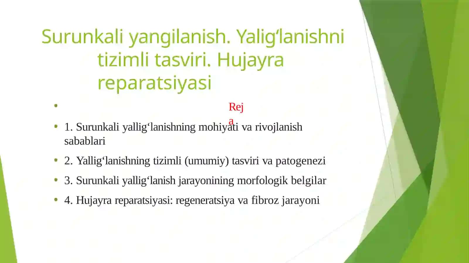 Surunkali yangilanish. Yaligʻlanishni tizimli tasviri. Hujayra reparatsiyasi 2