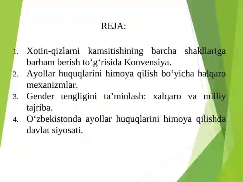 Ayollar huquqlarini himoya qilishning huquqiy asoslari: Xalqaro va milliy mexanizmlar 2