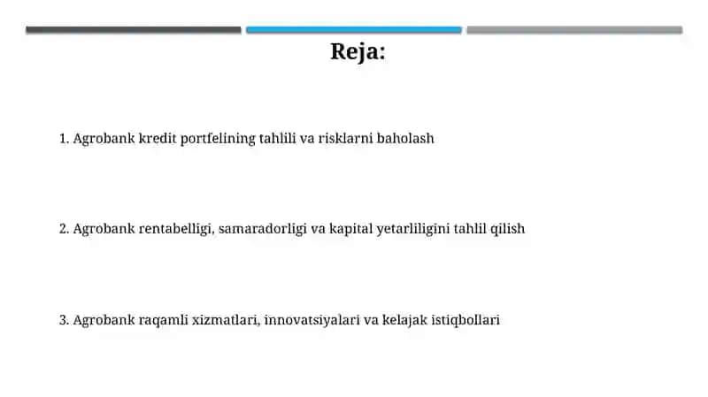 Agrobank (Kredit portfeli,foyda,risklar,raqamli xizmatlar) ma’lumotlarini iqtisodiy tahlil qilish 2