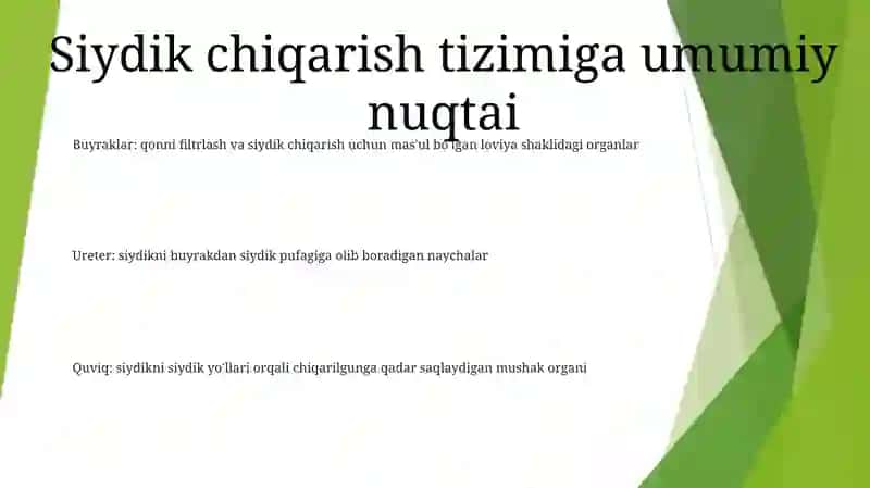 Sutemizuvchilarning Ayirish Sistemasi 2