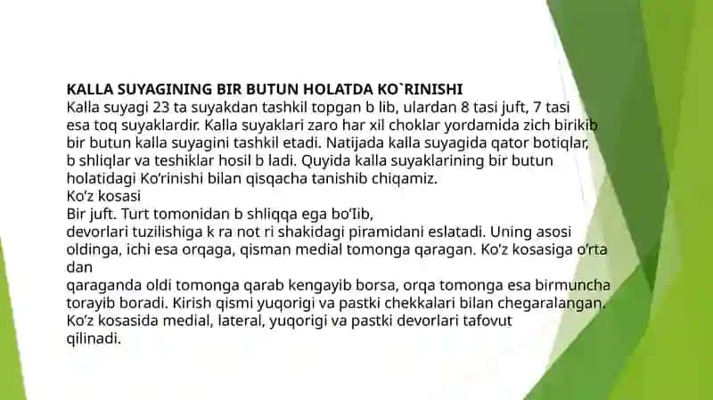 BOSH,GAVDA,QO’L VA OYOQ SKELETI TUZILISHI 2