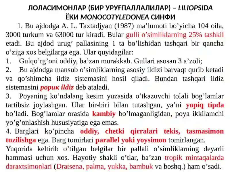 LOLASIMONLAR (BIR URUG'PALLALILAR) - LILIOPSIDA 2