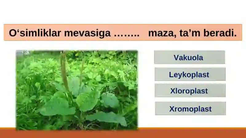 BIOLOGIYA 5-sinf MUSTAHKAMLASH 2
