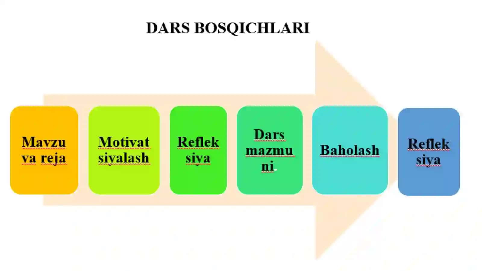 Umurtqali hayvonlarning tayanch- harakat organlarini modellashtirish 2