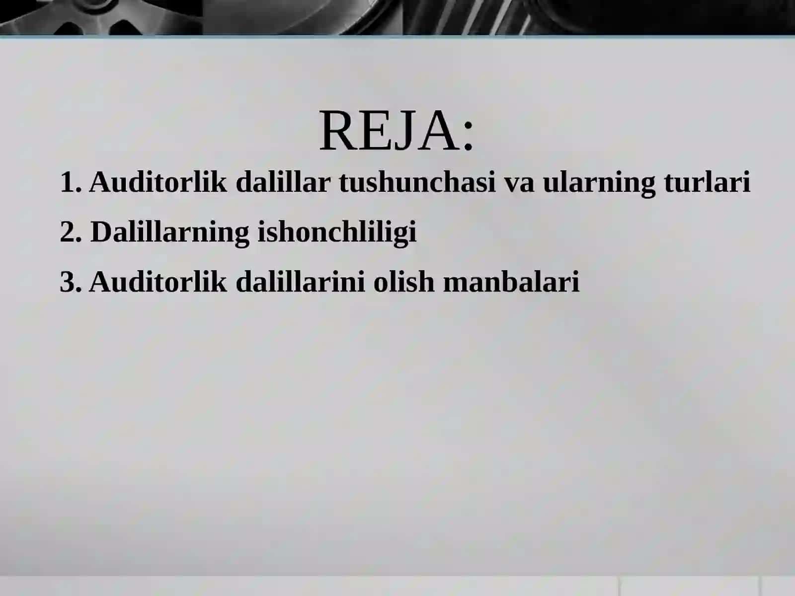 "AUDITORLIK DALILLAR" 2