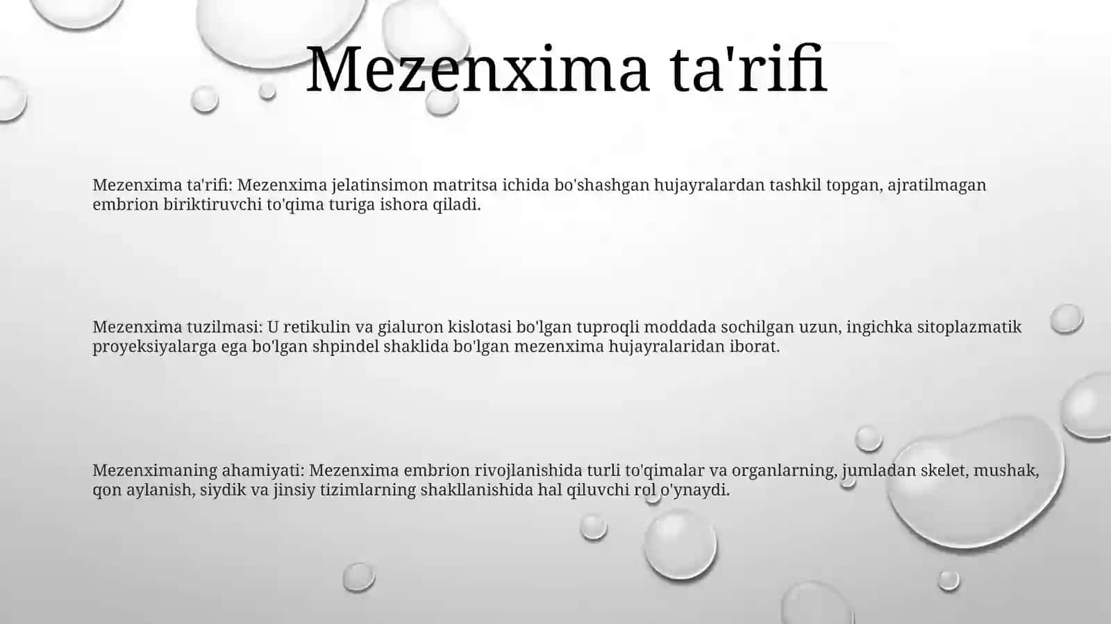 Mezenximaning Tuzilishi Va Ahamiyati 2