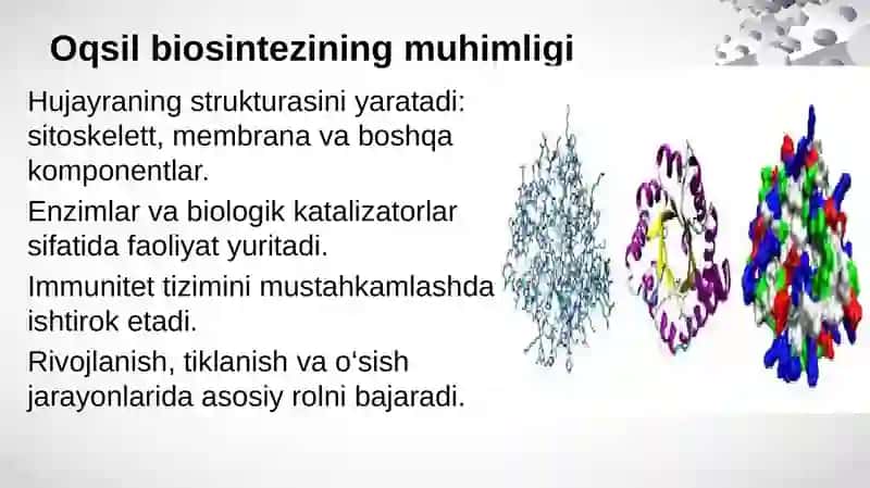 Oqsil biosintezi 2