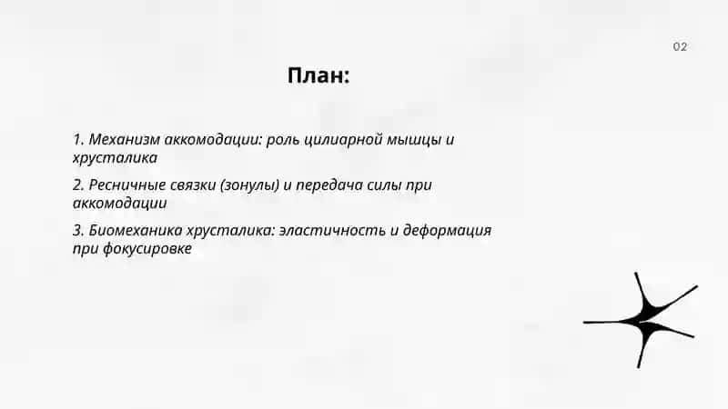Процесс аккомодации 2