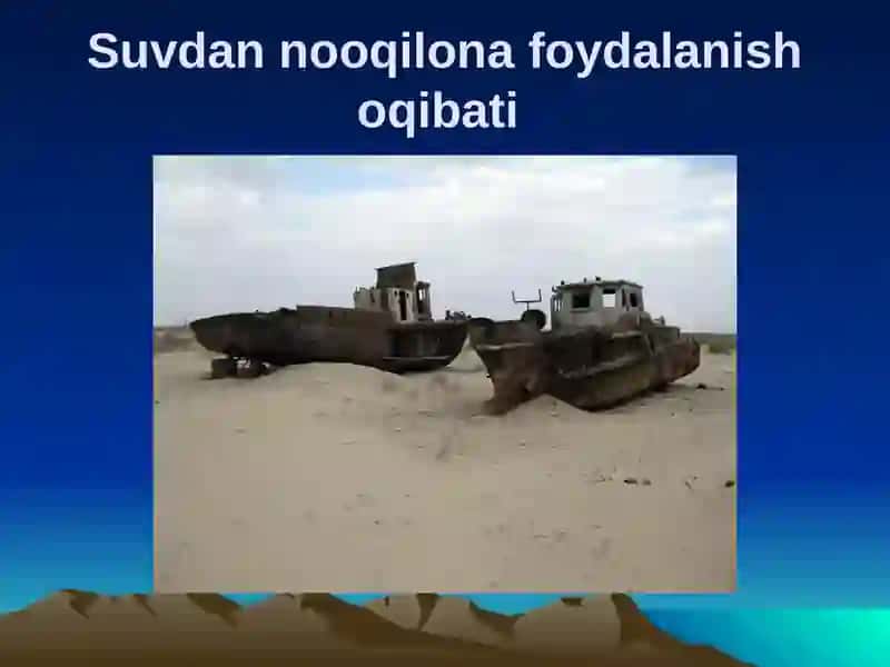 O`ZBЕKISTОNNING TRАNSCHЕGАRАVIY EKОLОGIK MUАMMОLАRI VА ULАRNI HАL ETISH YO`NАLISHIDАGI SА`Y-HАRАKАTLАR 2