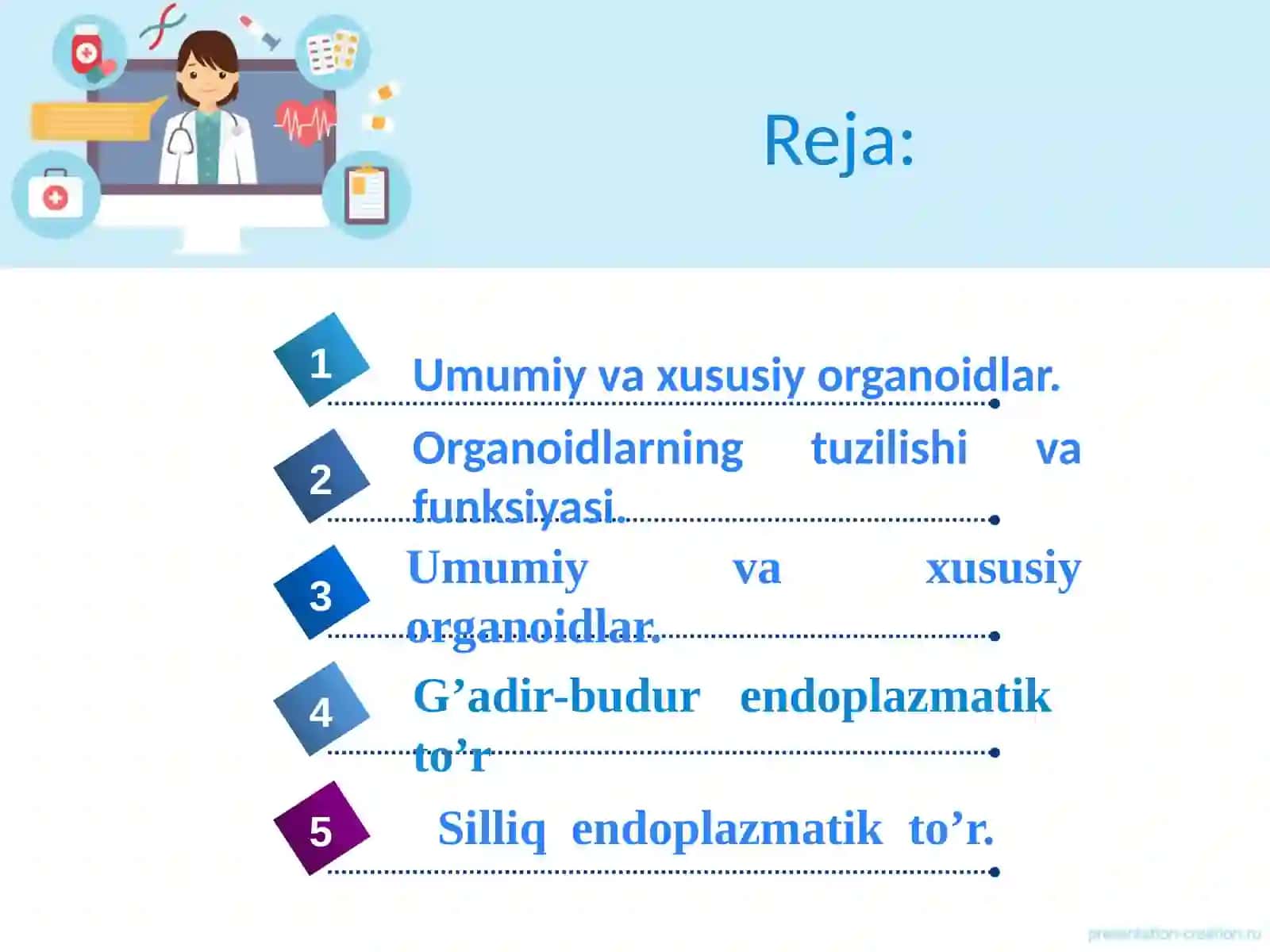 Organoidlarning tuzilishi va funksiyasi 2