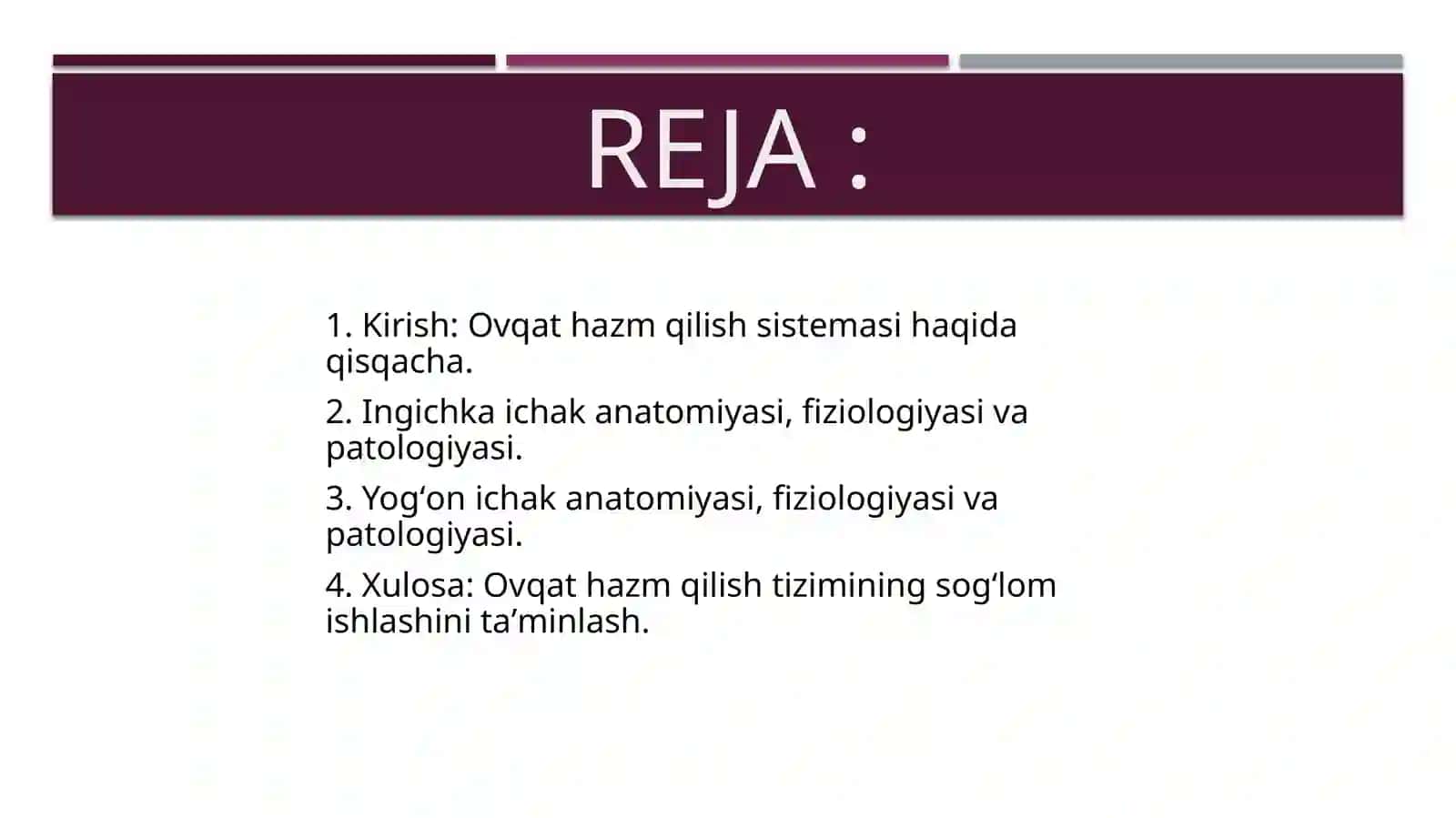 Ingichkavayog’onichaklar anatomiyasi, fiziologiyasi va patologiyasi 2