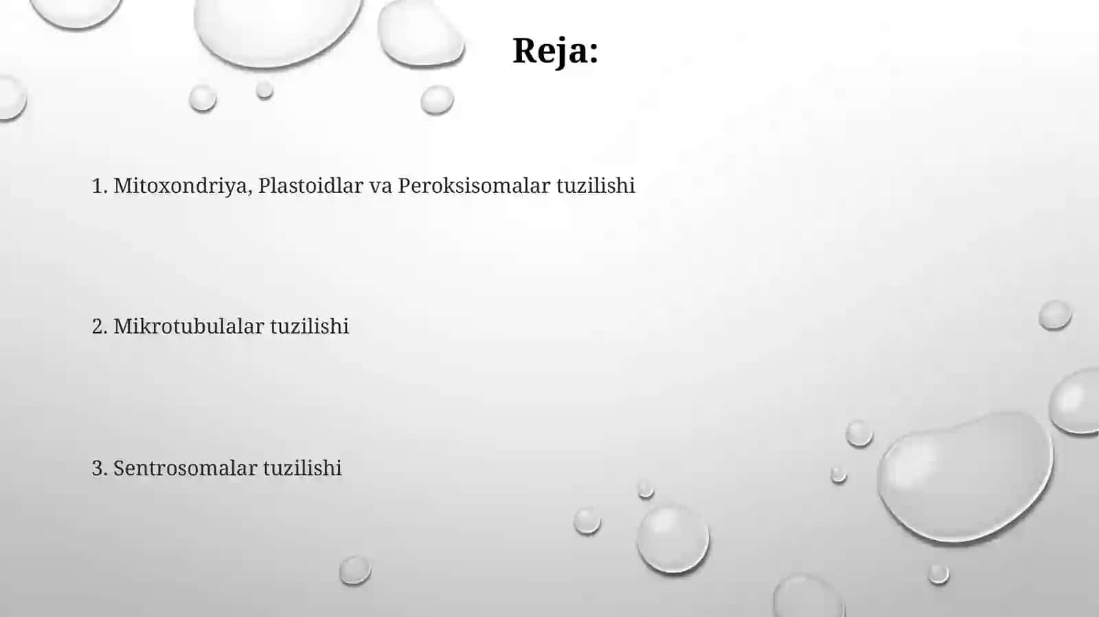 Mitoxondriya, Plastoidlar va Peroksisomalar tuzilishi 2