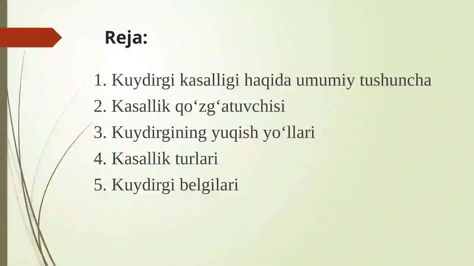 Kuydurgi 2