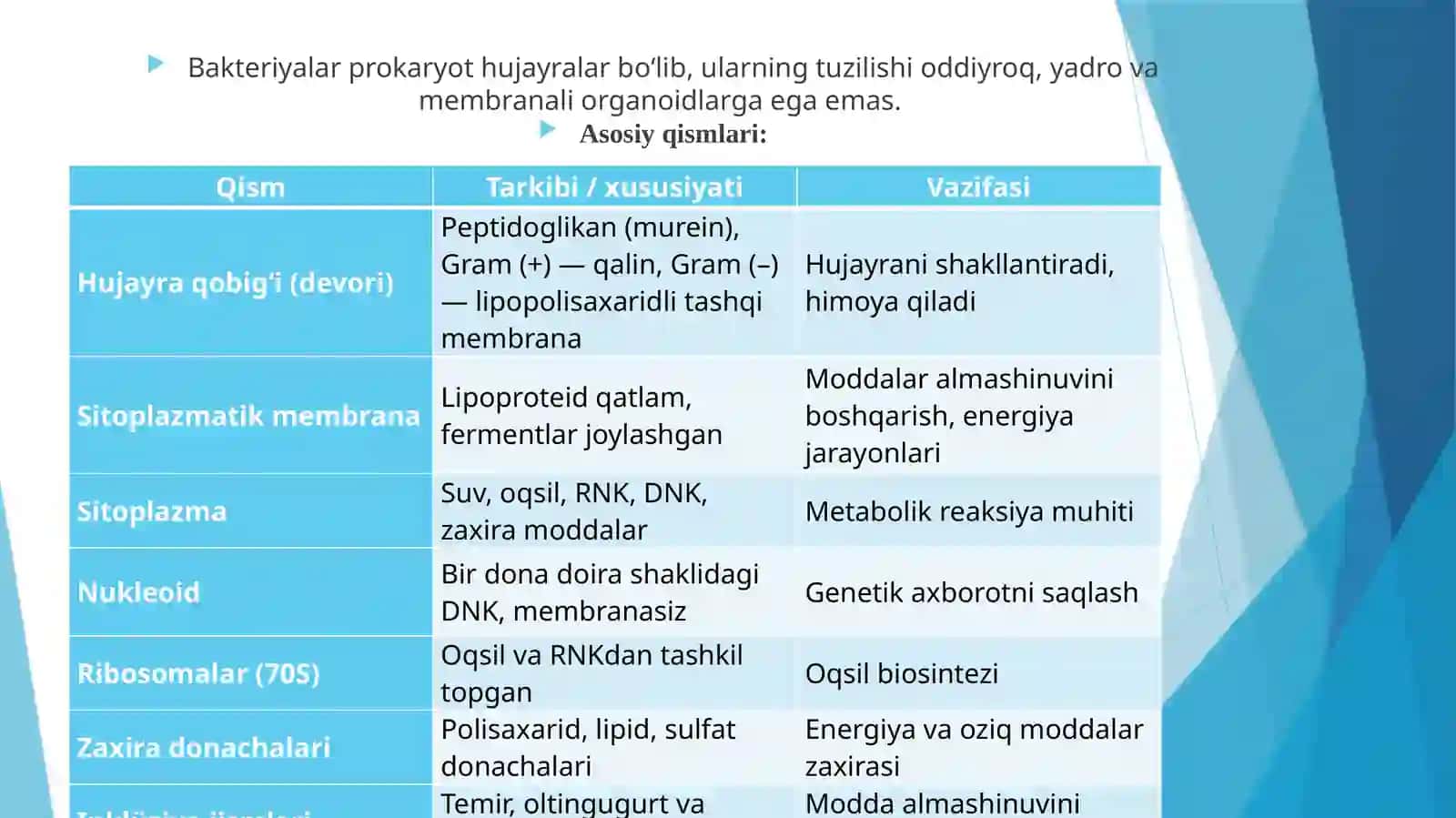 Bakteriyalar tuzilishi 2