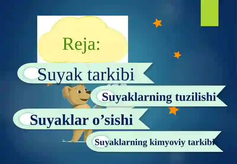Suyaklarning tuzilishi va o’sishi 2