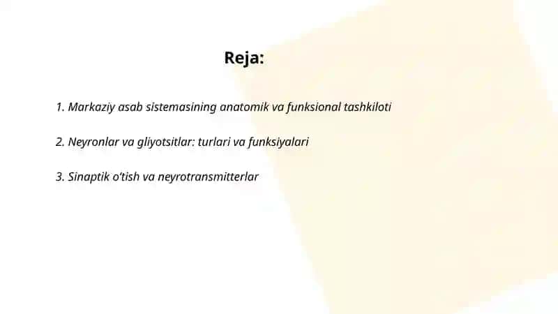 Markaziy asab sestemasi umumiy fiziologiyasi 2
