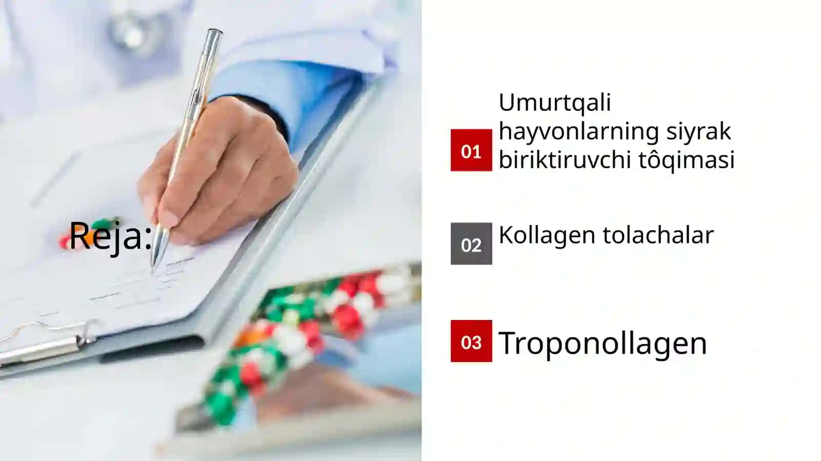 Umurtqali hayvonlarning siyrak biriktiruvchi tôqimasi 2