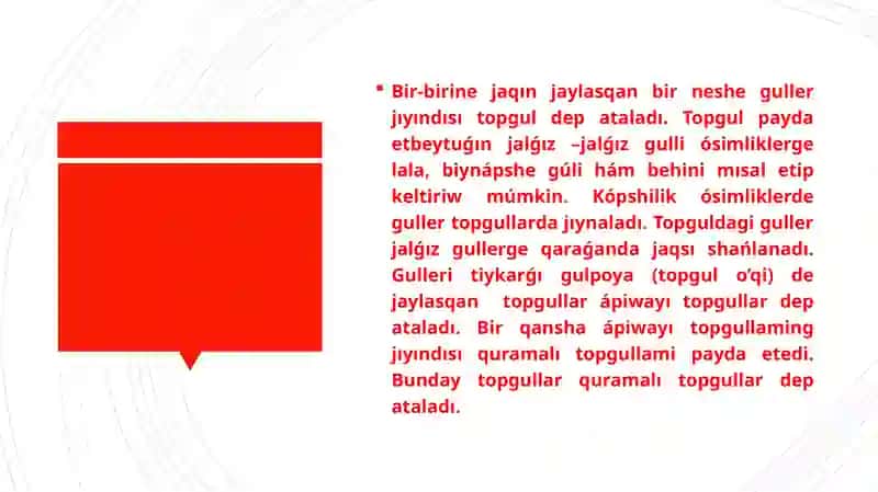 Apiwayı ham quramalı topguller 2