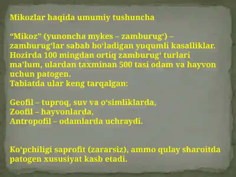 Terining zamburugʼli infektsiyalari. Keratomikozlar 2