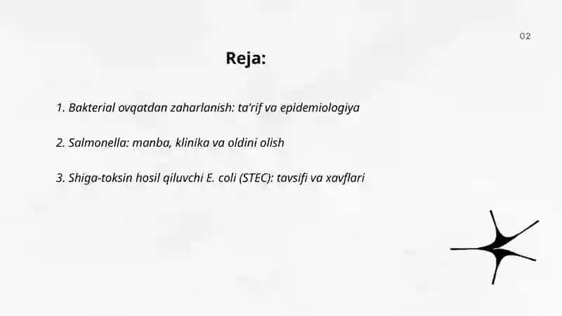 Bakterial ovqatdan zaharlanish 2