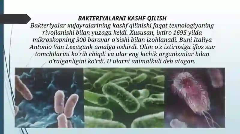 Bakteriyalar haqida 2