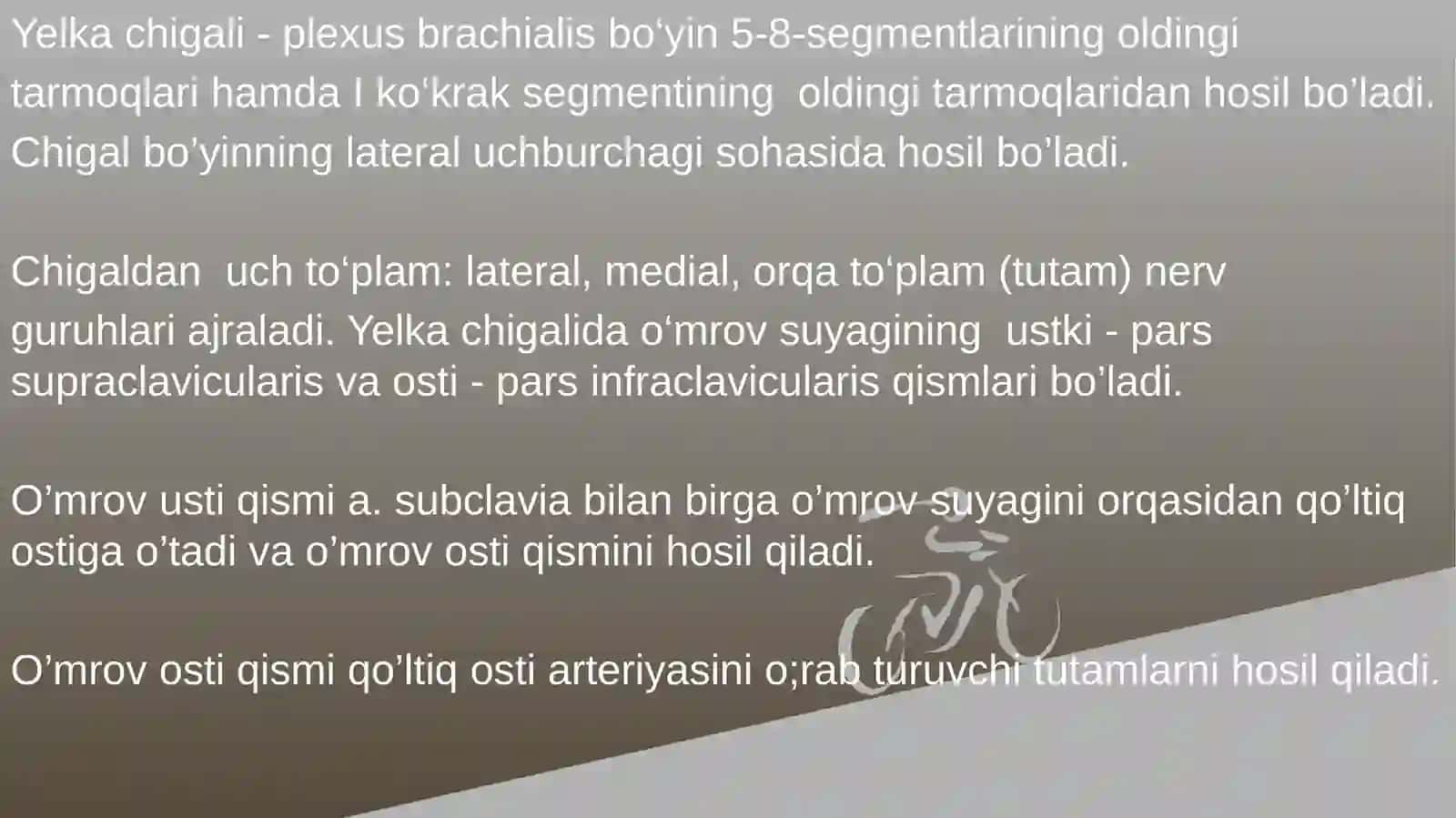 Yelka chigalining hosil bo’lishi va uning qisqa shoxlari 2