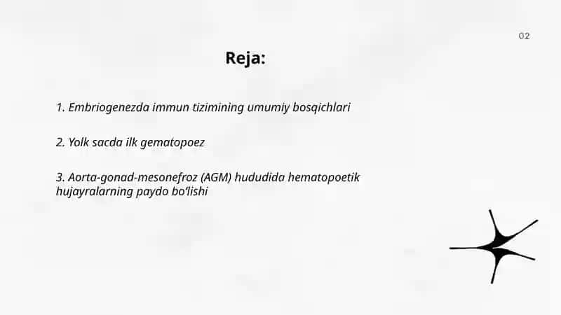 Embriogenezda immun tizimini shaklanishi 2