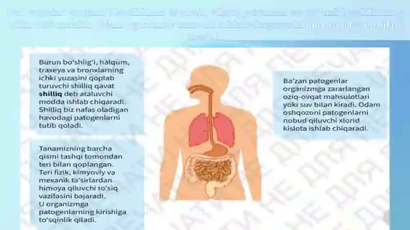 Odam organizmining ximo yaxilsih mehanizmi 2-qism 2