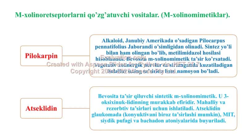 M- xolinergik va antixolinesteraz dori vositalar farmakologiyasi. Ko'rgazma, 8 bet. 2