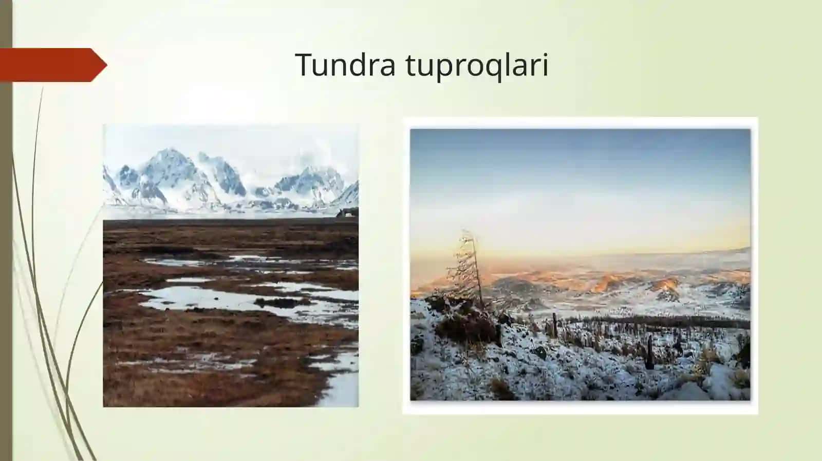 Arktika, tundra va o’rmon tundra tuproqlari 2