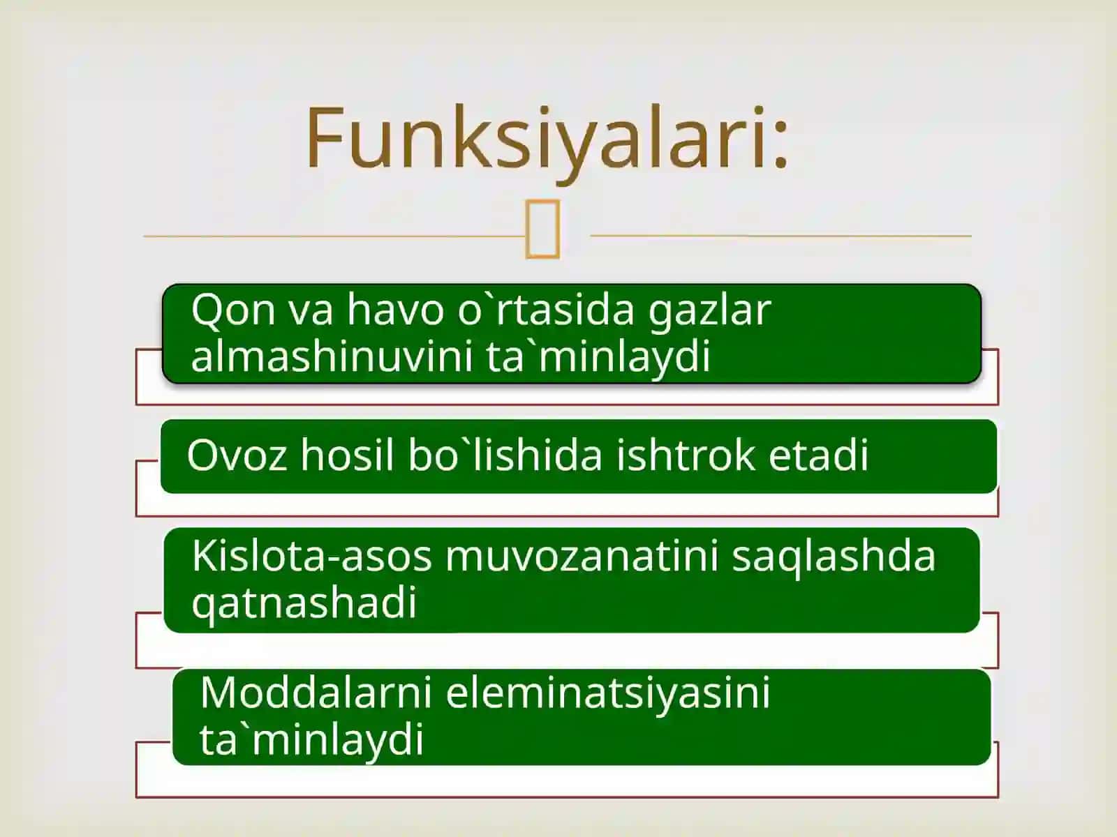 Burunbo`shlig`i, hiqildoq, paranazal bo`shliqlar 2