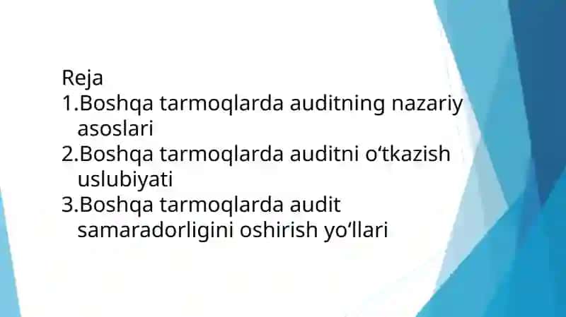 Boshqa tarmoqlarda audit 2