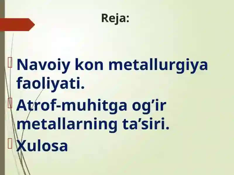 Og‘ir metallarning atrof-muhitga ta’siri (Navoiy kon metallurgiyasining atrof muhitga ta'siri misolida) 2
