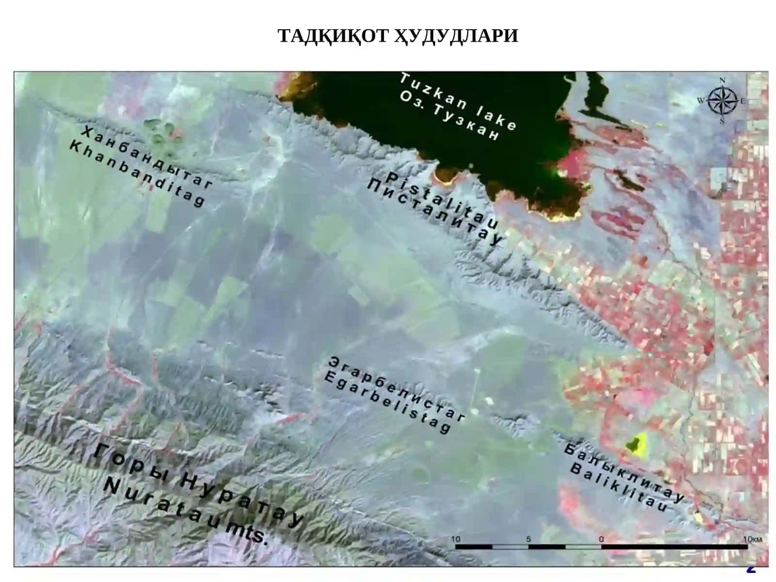 ЎСИМЛИКЛАРНИНГ ЭЛЕКТРОН МАЪЛУМОТЛАР БАЗАСИНИ ТУЗИШ 2
