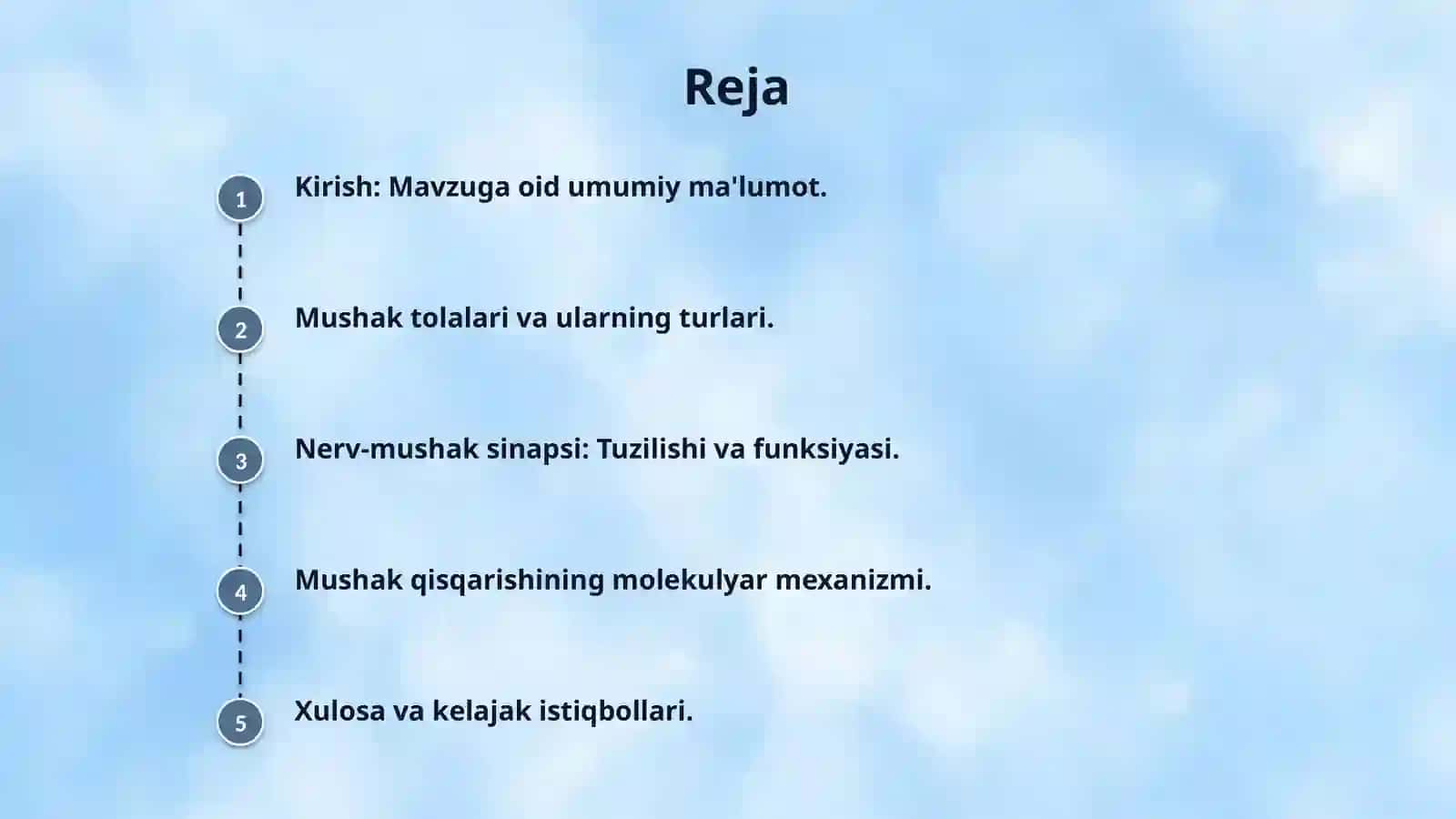 Nerv urchuqlari mushaklarining tuzilishi ishlash prinsipi 2