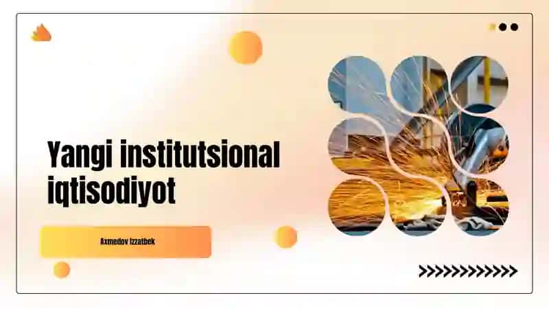 Yangi institutsional iqtisodiyot 2