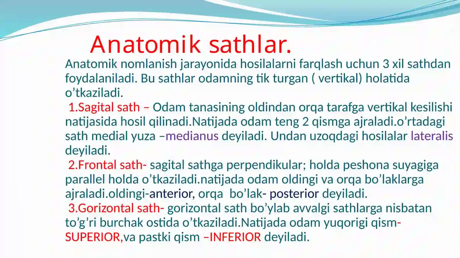 Anatomik sathlar.Umumiy osteologiya.Bo’yin va ko’krak,bel, dumg’aza va dum umurtqalari.Qovurg’a va to’sh suyagi 2