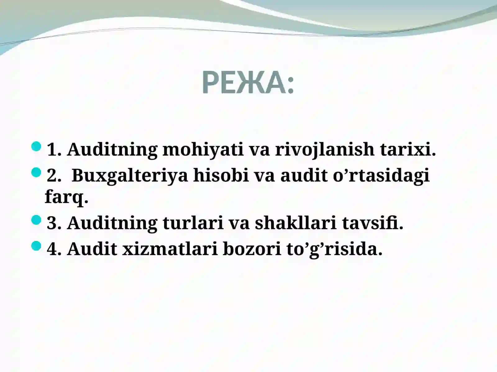 AUDITGA UMUMIY TAVSIF 2