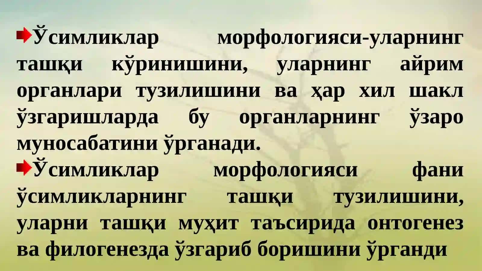 Ўсимликлар морфологияси, қонуниятлари ва уларни қишлоқ хўжалигидаги аҳамияти. Илдизнинг вазифаси ва тузилиши 2