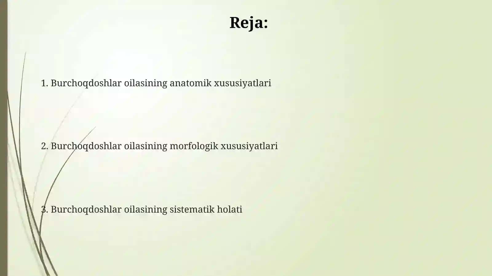 Burchoqdoshlar oilasining sistematik belgilari 2