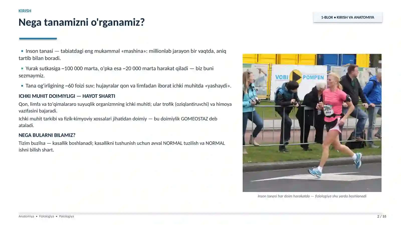 Anatomiya, fiziologiya va patologiya fani vazifasi, tarixi. Slayd 2