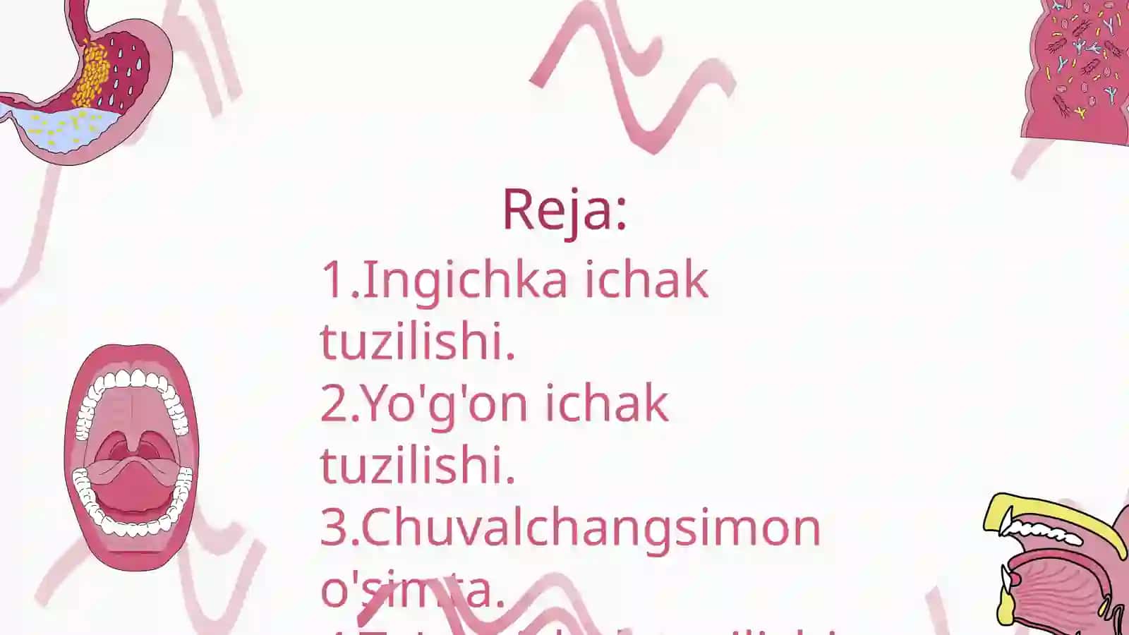 ICHAKLAR: INGICHKA ICHAK DEVORINING TUZILISHI, YO'G'ON ICHAK TUZILISHI. CHUVALCHANGSIMON O'SIMTA (APPANDIKS) VA TO'G'RI ICHAK 2