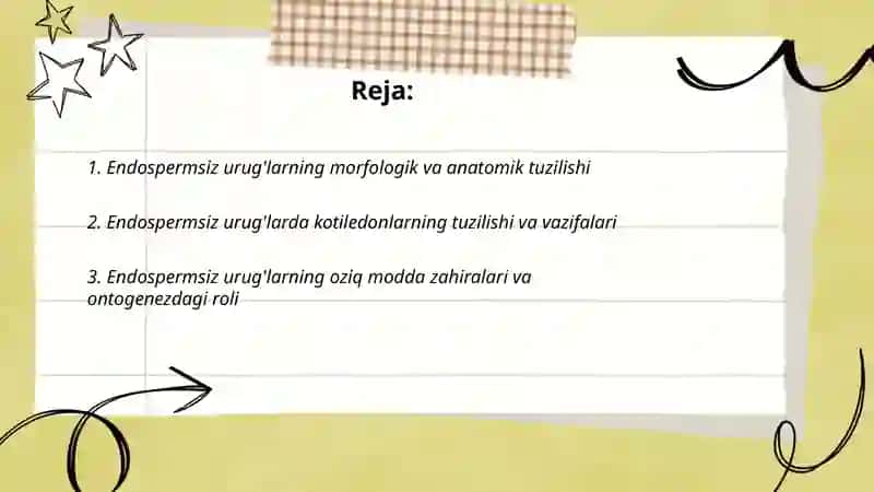 Endospermsiz endosperimli va perspirimli urug'larning tuzilishi va ularning ulushi 2