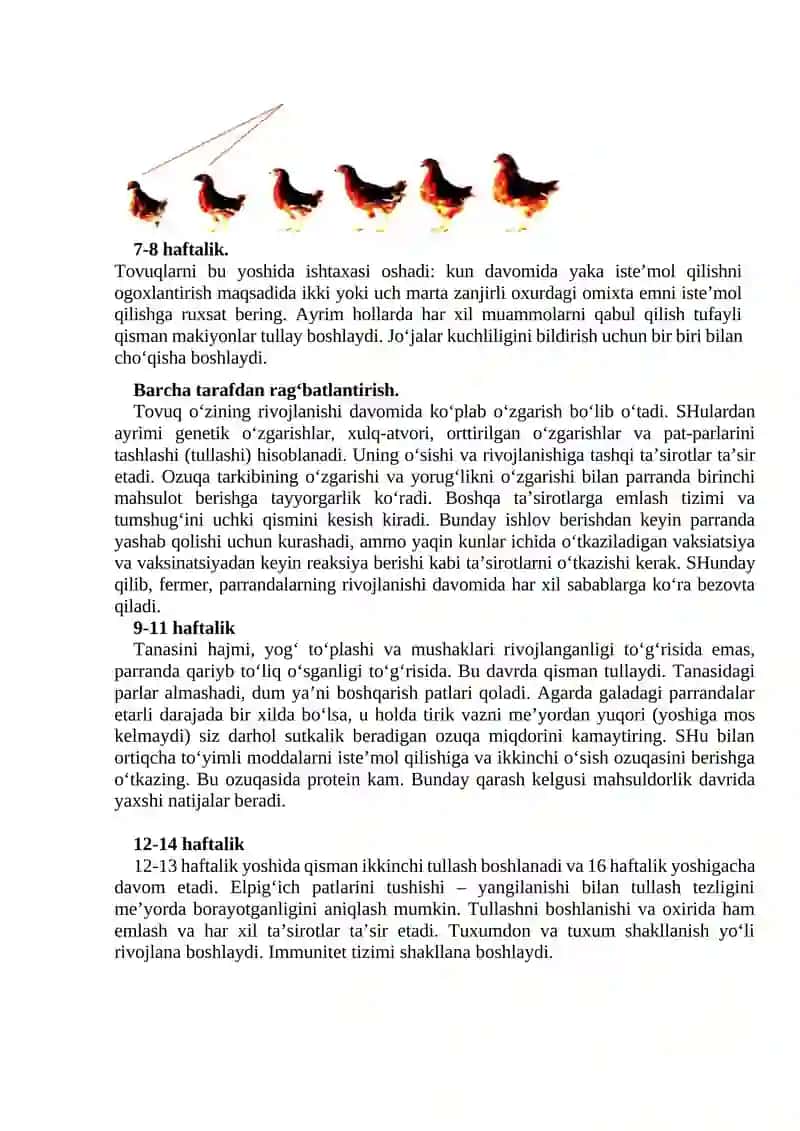 Jo’jalarni yorib ko’rish va oziqa zaxiralarini so’rilishini tahlili 2