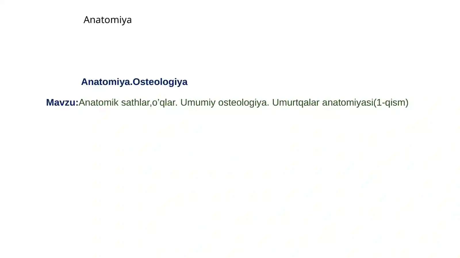 Anatomiya.Osteologiya 2
