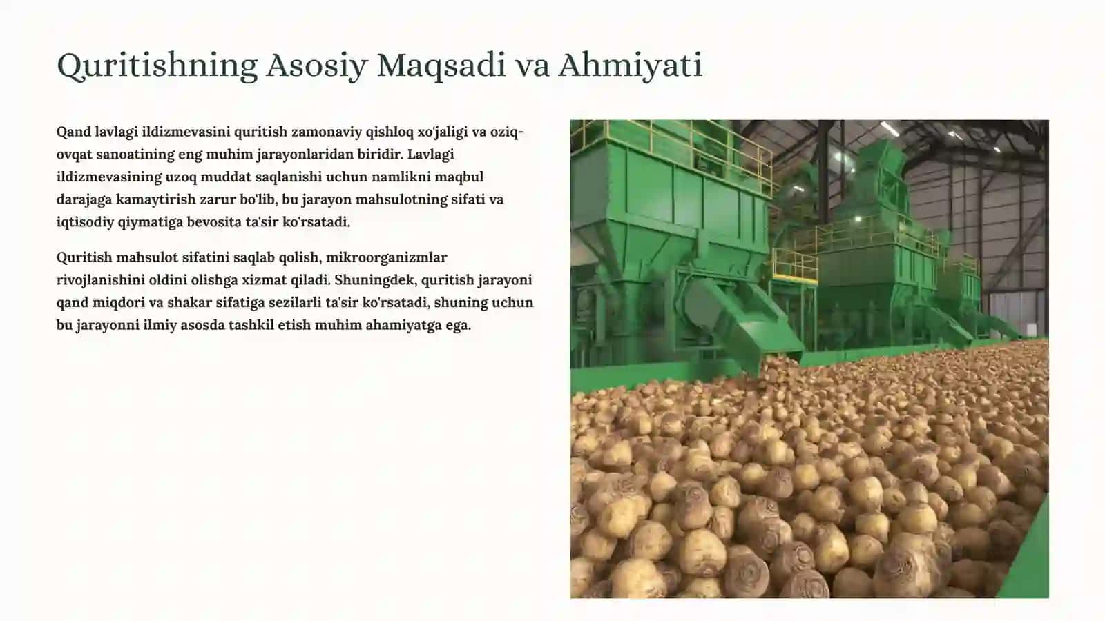 Qand Lavlagi Ildizmevasini Quritishning Nazariy Ahamiyati 2